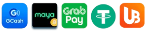 scatterna payment methods showing secure transactions